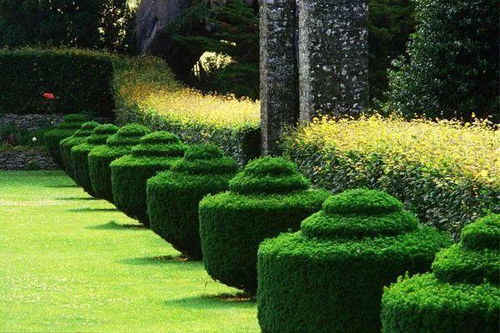 成都最大規(guī)模苗木批發(fā)供應(yīng)基地與人工智能應(yīng)用軟件開(kāi)發(fā)的融合創(chuàng)新