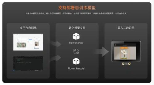 蘑菇云榮膺教育強國論壇2025年度科技創新教育品牌，以創新產品賦能人工智能通識教育與應用軟件開發