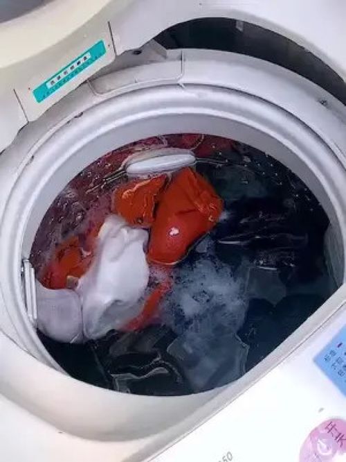 共享洗衣房的救星 一網打盡的毛發過濾神器